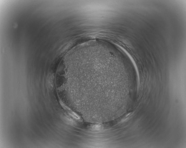 X0000066090325200603131210