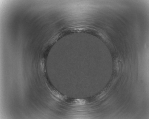 X0000066090328200603131210