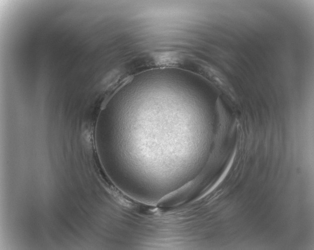 X0000066090329200603131210