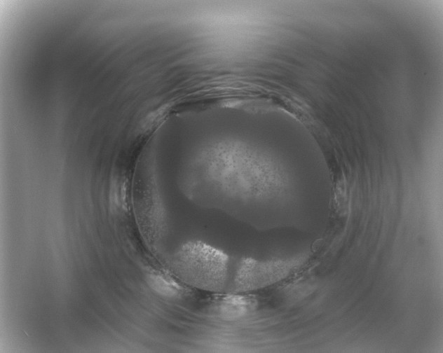 X0000066090330200603131210