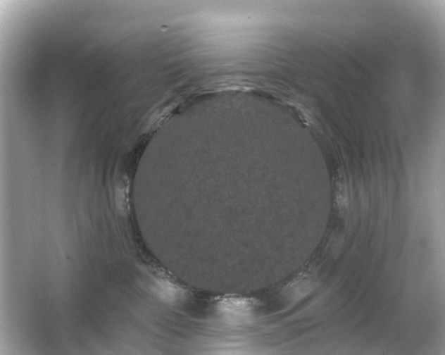 X0000066090332200603131210