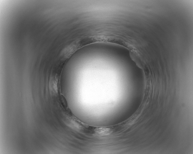 X0000066090334200603131210