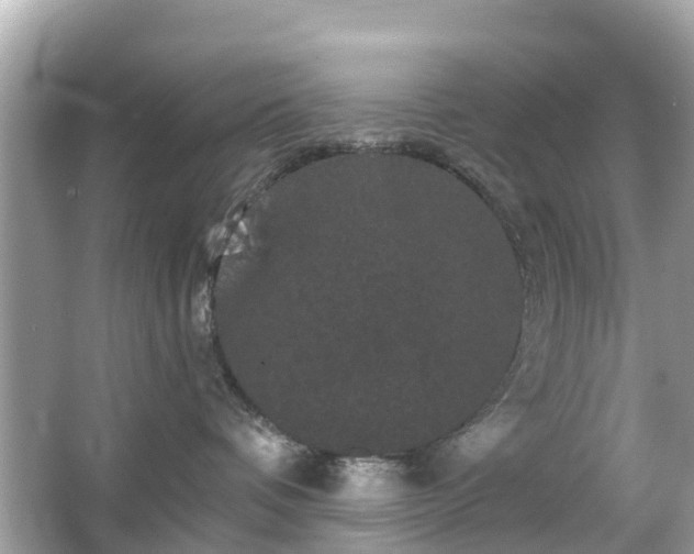 X0000066090336200603131210