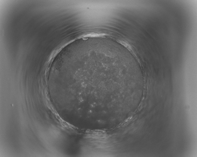 X0000066090337200603131209