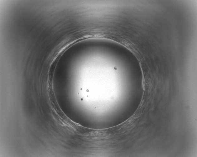 X0000066090338200603131209