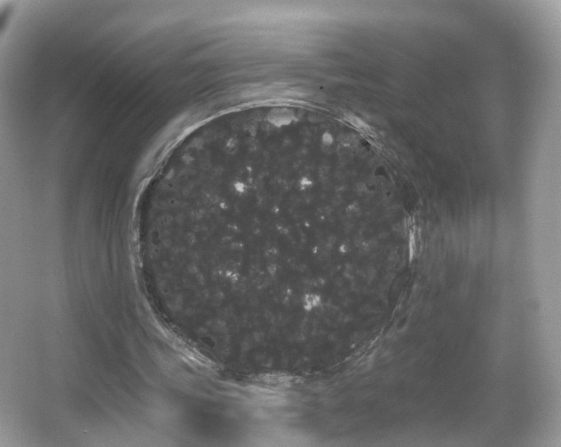 X0000066090339200603131209