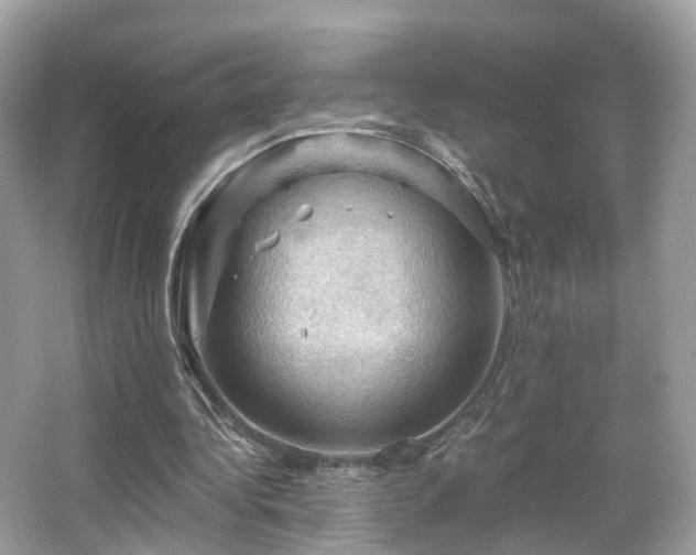 X0000066090340200603131209