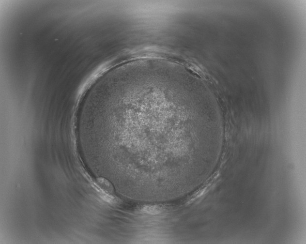 X0000066090341200603131209