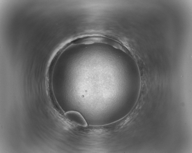 X0000066090342200603131209