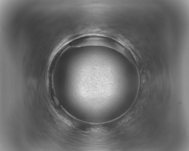 X0000066090344200603131209