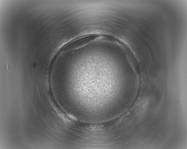 X0000066090345200603131209