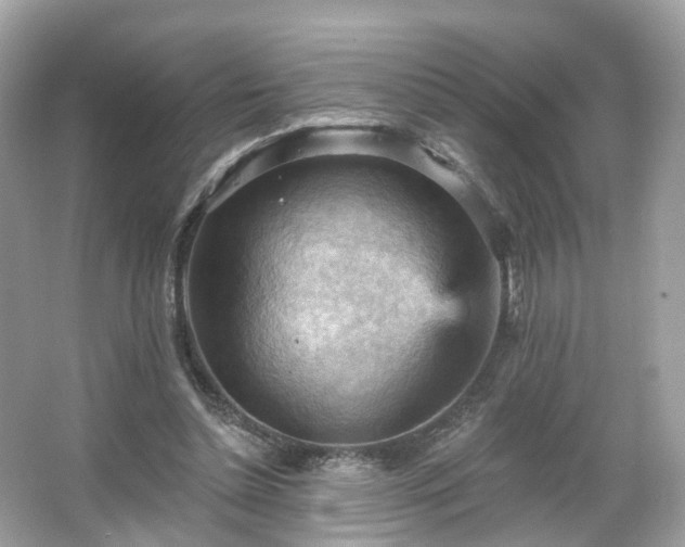 X0000066090348200603131209