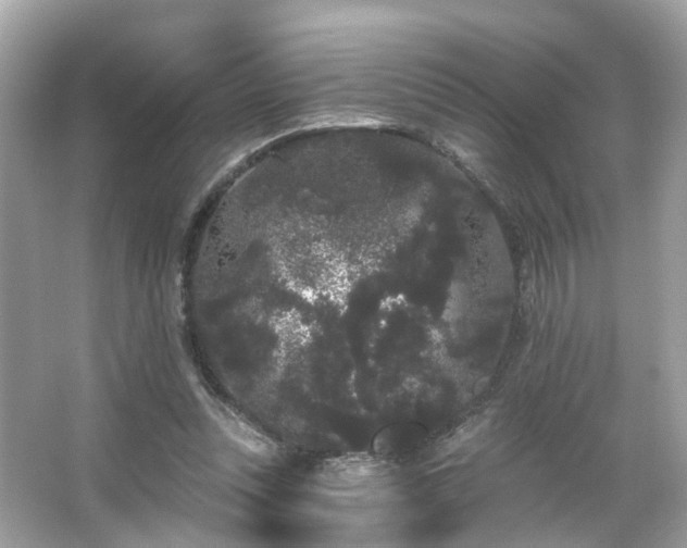 X0000066090351200603131209