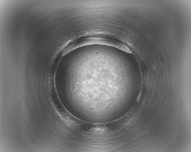 X0000066090352200603131209