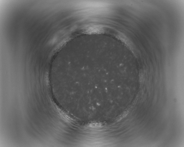 X0000066090353200603131209