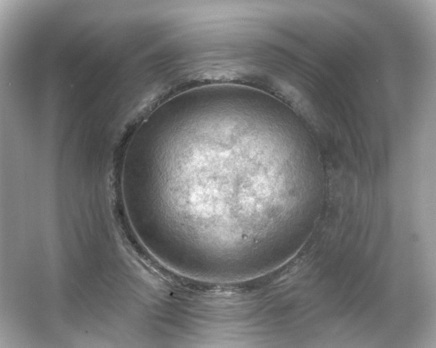 X0000066090354200603131210