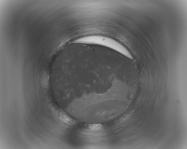 X0000066090355200603131210