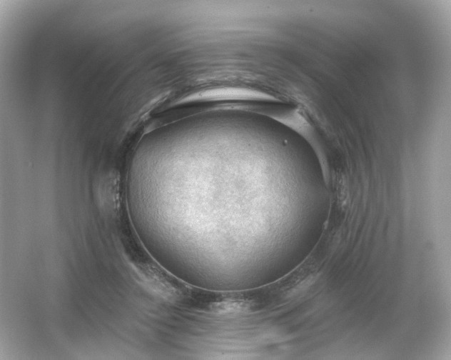 X0000066090356200603131210