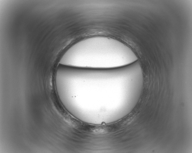 X0000066090358200603131210