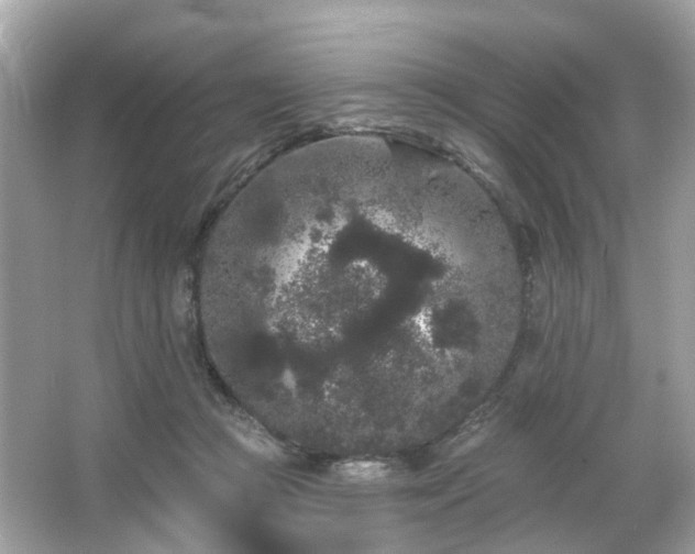 X0000066090361200603131210