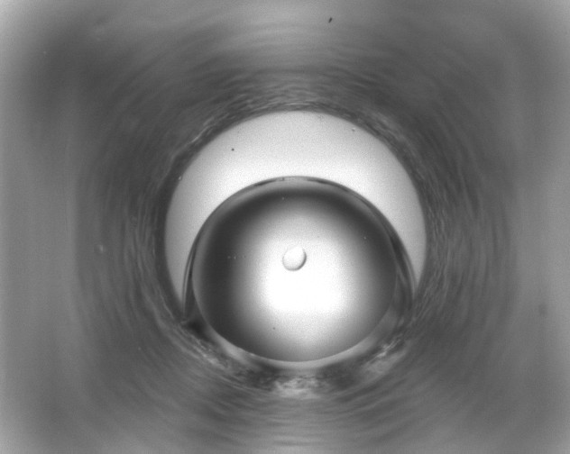 X0000066090362200603131210