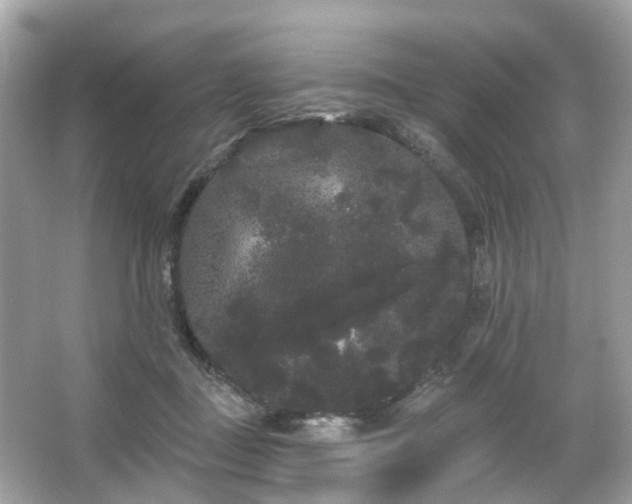 X0000066090363200603131210