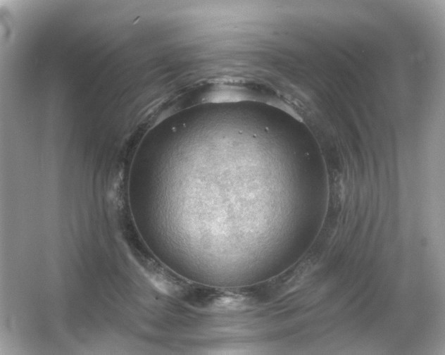 X0000066090364200603131210