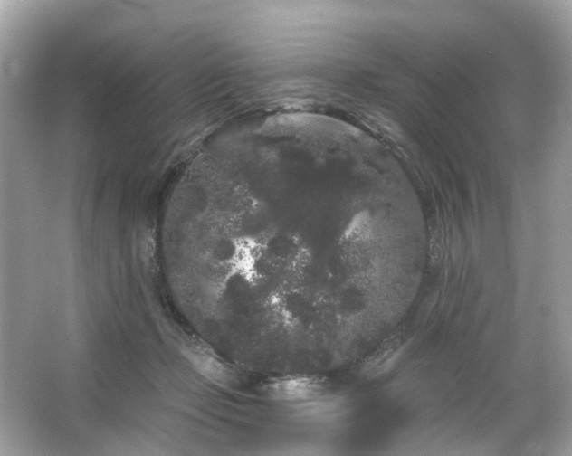 X0000066090365200603131210