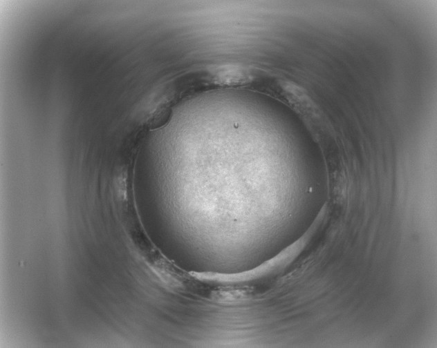 X0000066090368200603131210