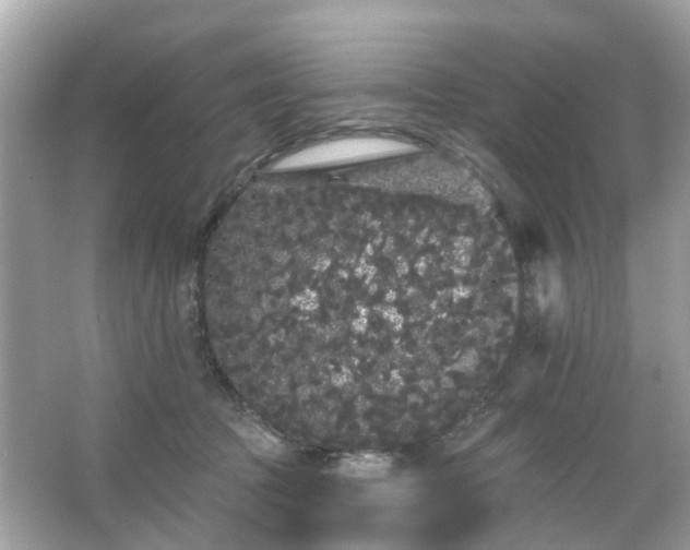 X0000066090369200603131210