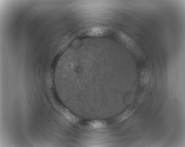 X0000066090370200603131210