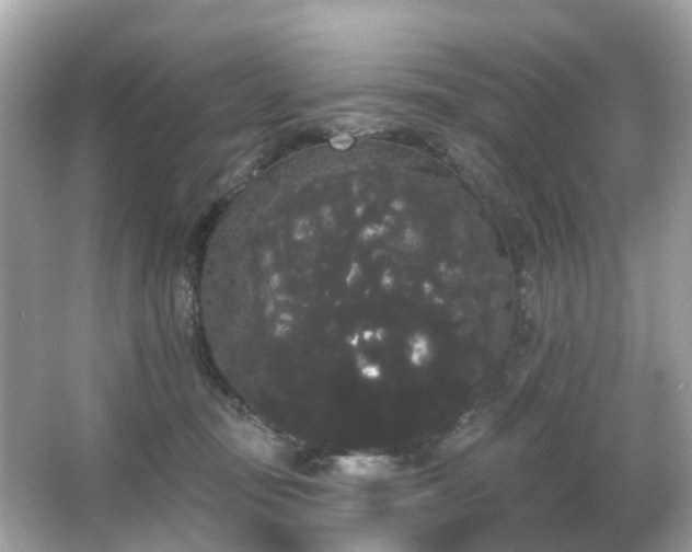 X0000066090371200603131210