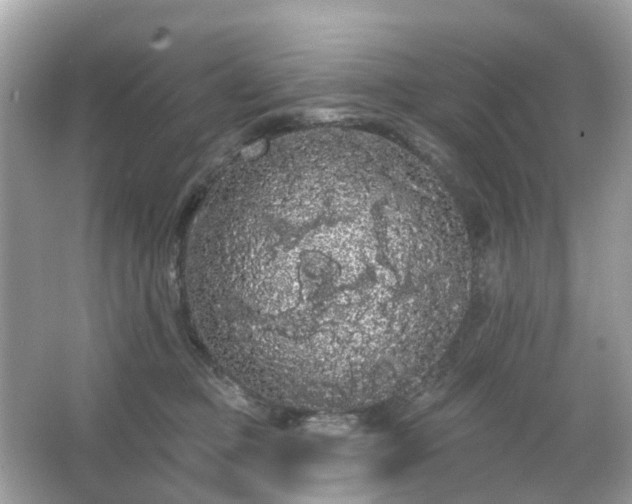 X0000066090373200603131210