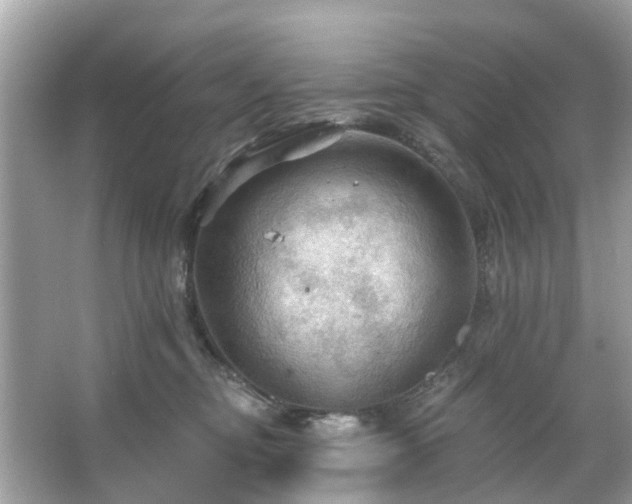 X0000066090374200603131210