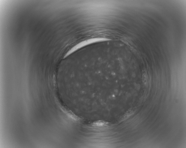 X0000066090375200603131210