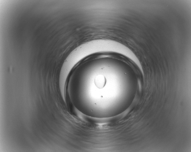 X0000066090376200603131210