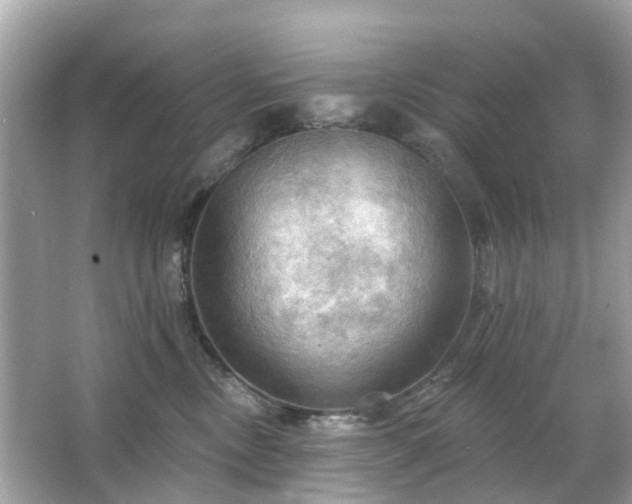 X0000066090378200603131210