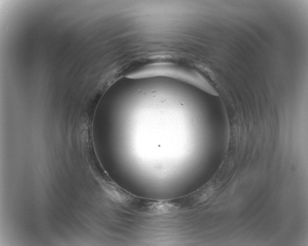 X0000066090379200603131210