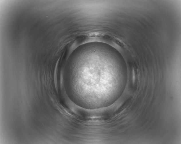 X0000066090380200603131210