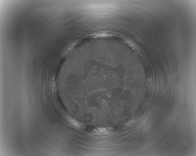 X0000066090381200603131210