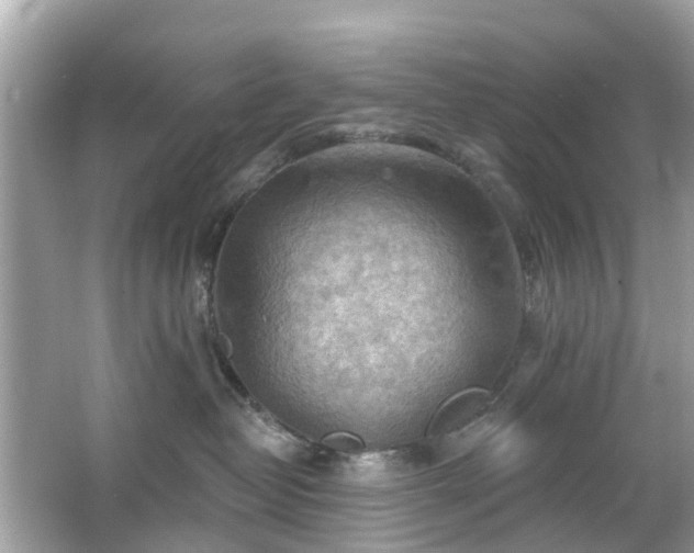 X0000066090382200603131210