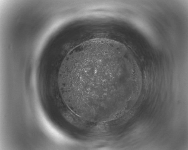 X0000066090383200603131210