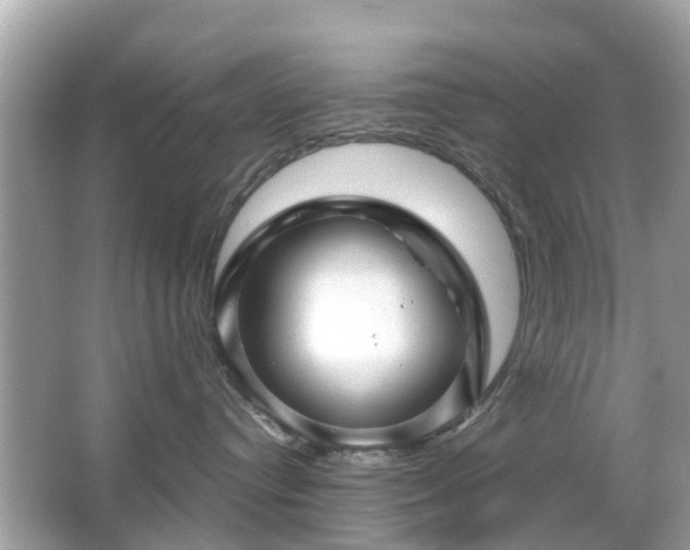 X0000066090384200603131210