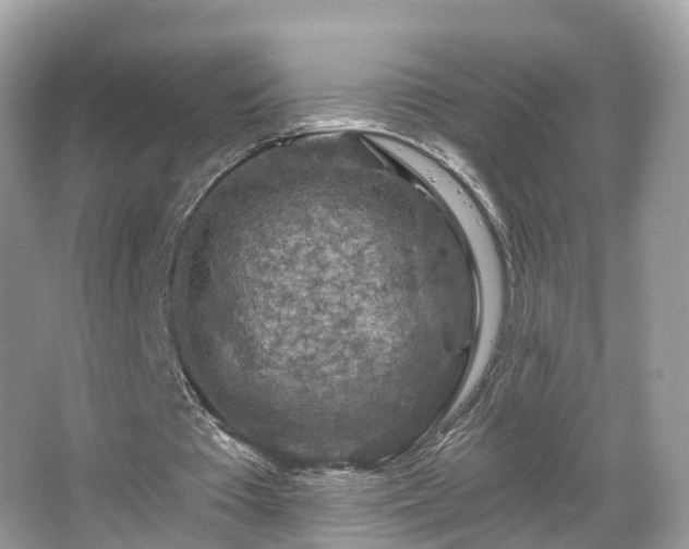 X0000066090385200603131209