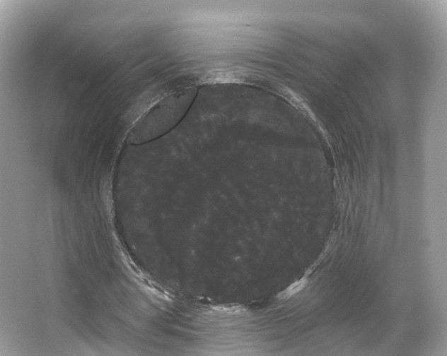 X0000066090386200603131209