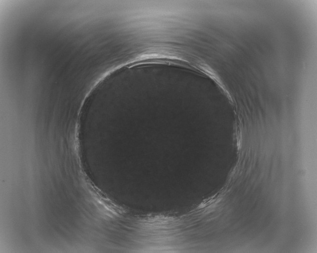 X0000066090387200603131209