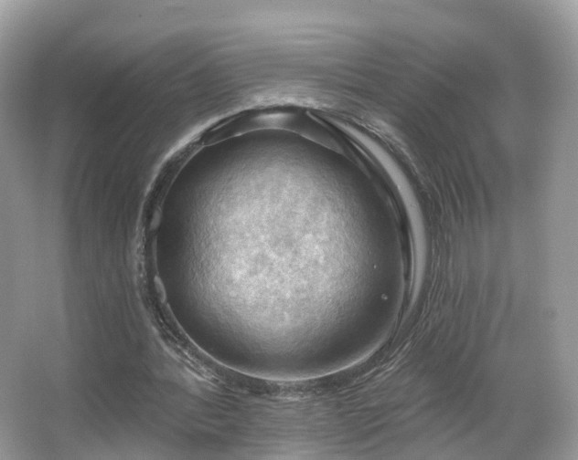 X0000066090388200603131209