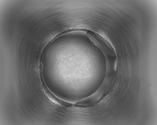 X0000066090389200603131209