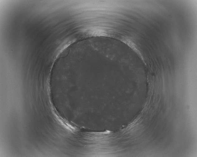 X0000066090390200603131209