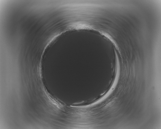 X0000066090391200603131209